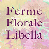 Ferme Florale Libella Logo
